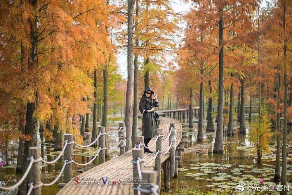 探索蜗牛世界,尽在求问一下这是哪个动漫人物?蜗牛问答平台